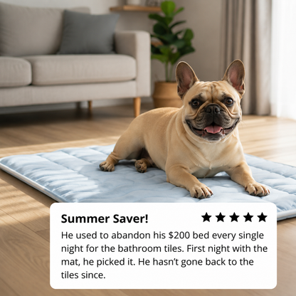 Veldra ArcticCore™ Cooling Mat